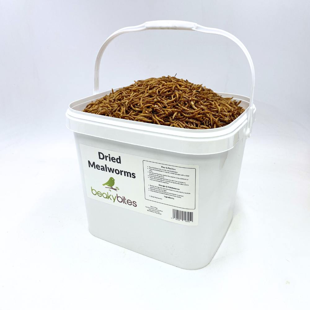 Dried Mealworms 12L